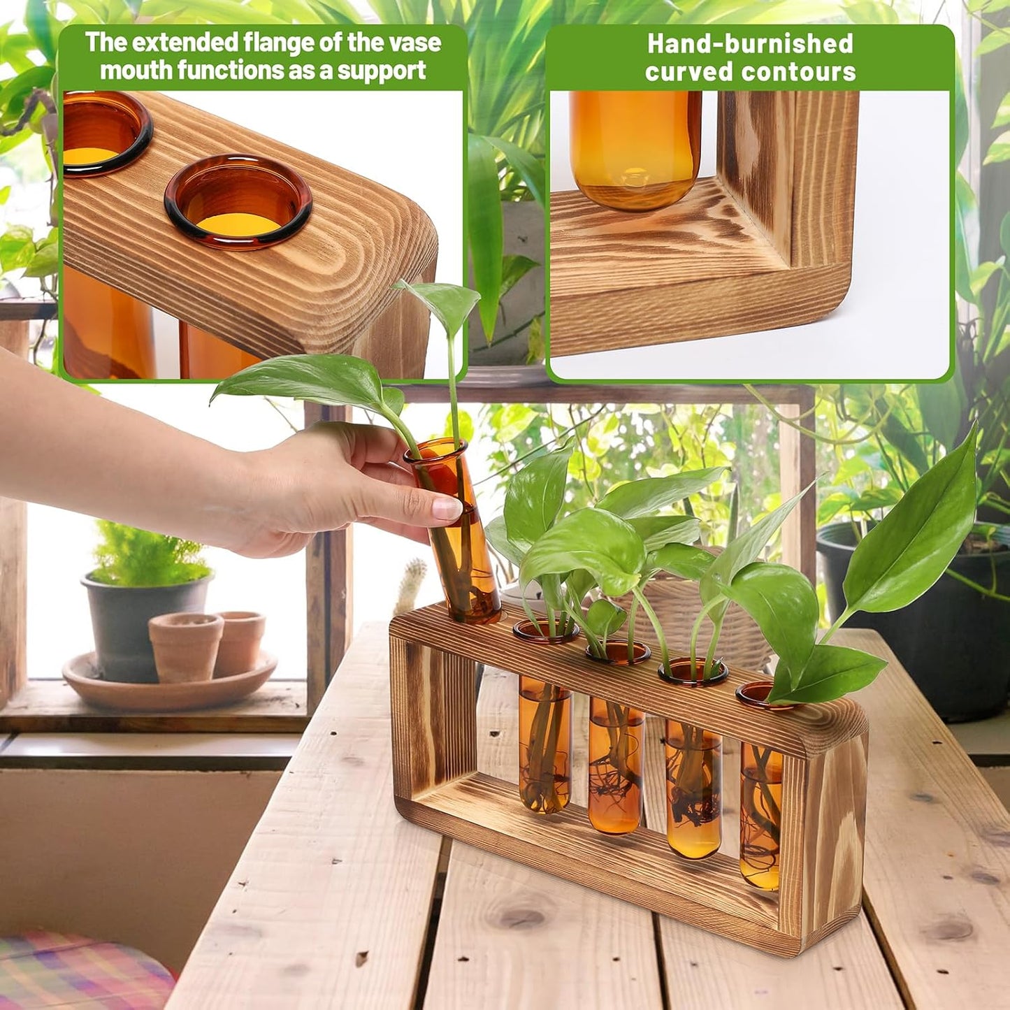 Glass Plant Propagation Station with 5 Test Tubes Colorful Planter Vase Birthday Gifts for Women in Wooden Stand