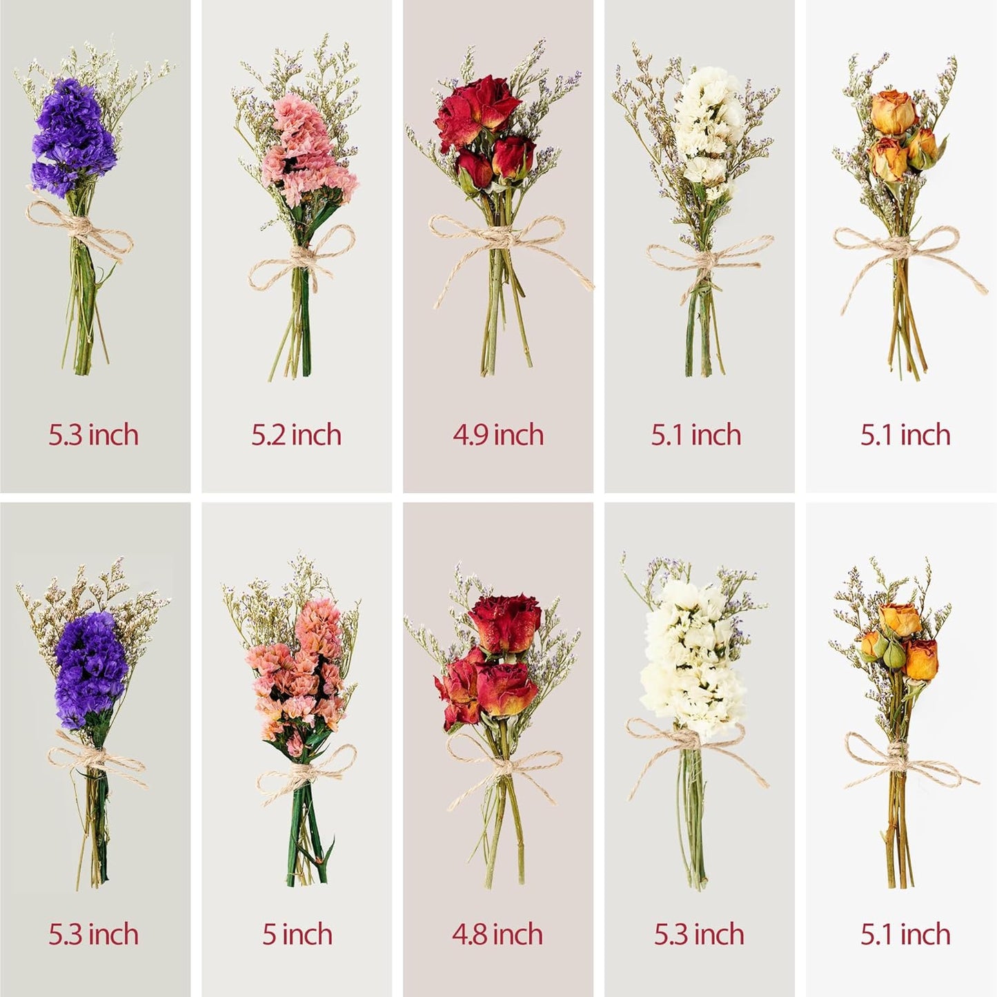 10/12/24 Pack Dried Flowers for Vase Various Mini Bouquet Dried Small Wildflowers Natural Real Flowers Bulk for Crafts DIY Wedding Decor (10, Classic Color1)