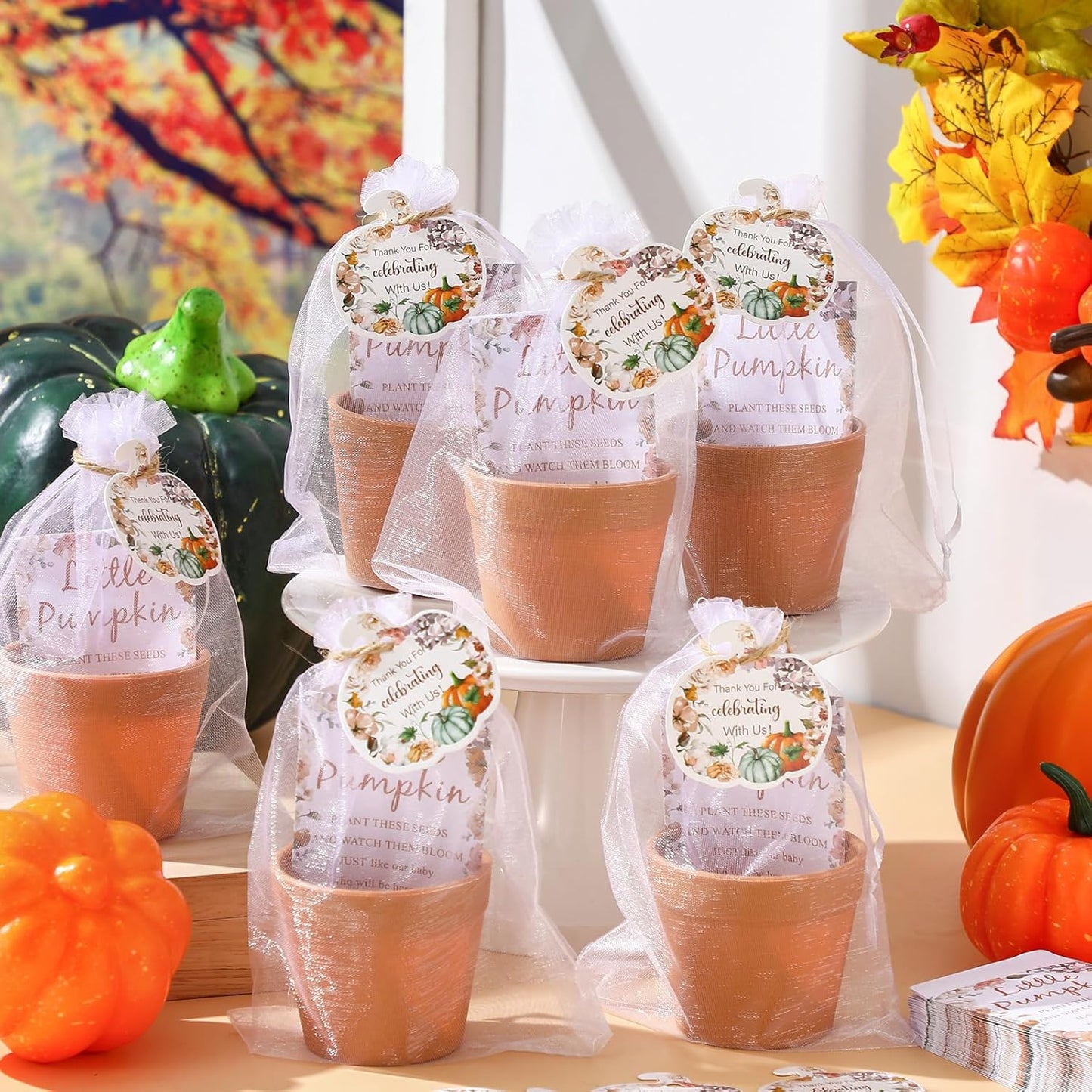 Ctosree 50 Sets Fall Baby Shower Seed Packet for Guests a Little Pumpkin is on The Way Gifts Include Self Adhesive Seed Packets Flowerpot Thank You Tags Organza Gift Bags for Baby Shower Party Favors