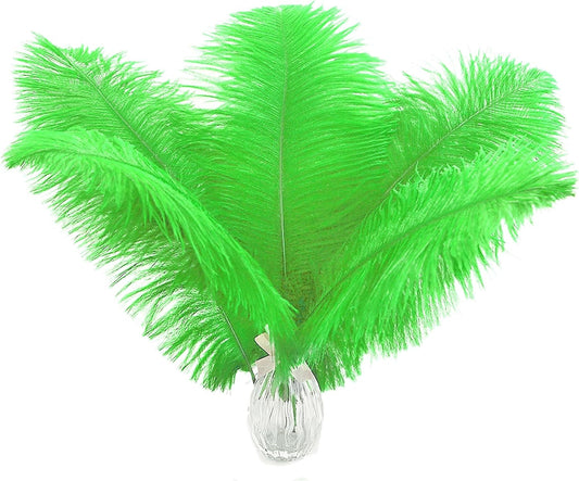 Ballinger Lime Green Ostrich Feathers - 24Pcs 12-14inch Large Green Feathers for Vase,Wedding Party Centerpieces and Holiday Home Decor