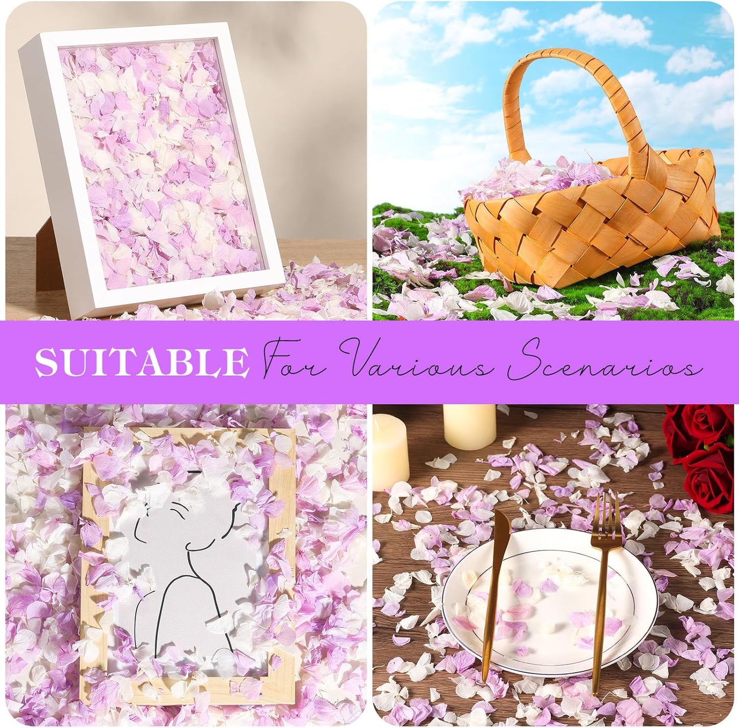 2500 PCS Purple and White Hydrangea Petals 100% Natural Real Flower Petals for Wedding Aisle, Flower Girl Scattering Flowers, Will You Marry Me, Romantic Night, Proposal, Anniversary, Special Night