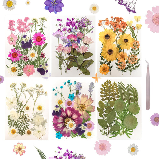 Dried Pressed Flowers for Resin Mold Dry Flower Real Leaves Bulk with Tweezers Natural Herbs Kit for Scrapbooking DIY Art Crafts Candle Jewelry Making Nails Floral Decoration