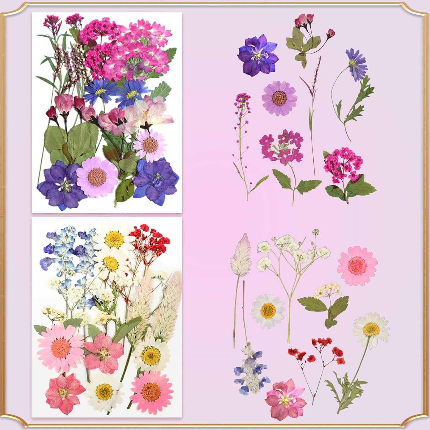 120Pcs Dried Pressed Flowers for Resin Mould Dry Flower Real Leaves Bulk with Tweezers Natural Herbs Kit for Scrapbooking DIY Art Crafts Candle Jewelry Making Nails Floral Decoration(Multicolor)