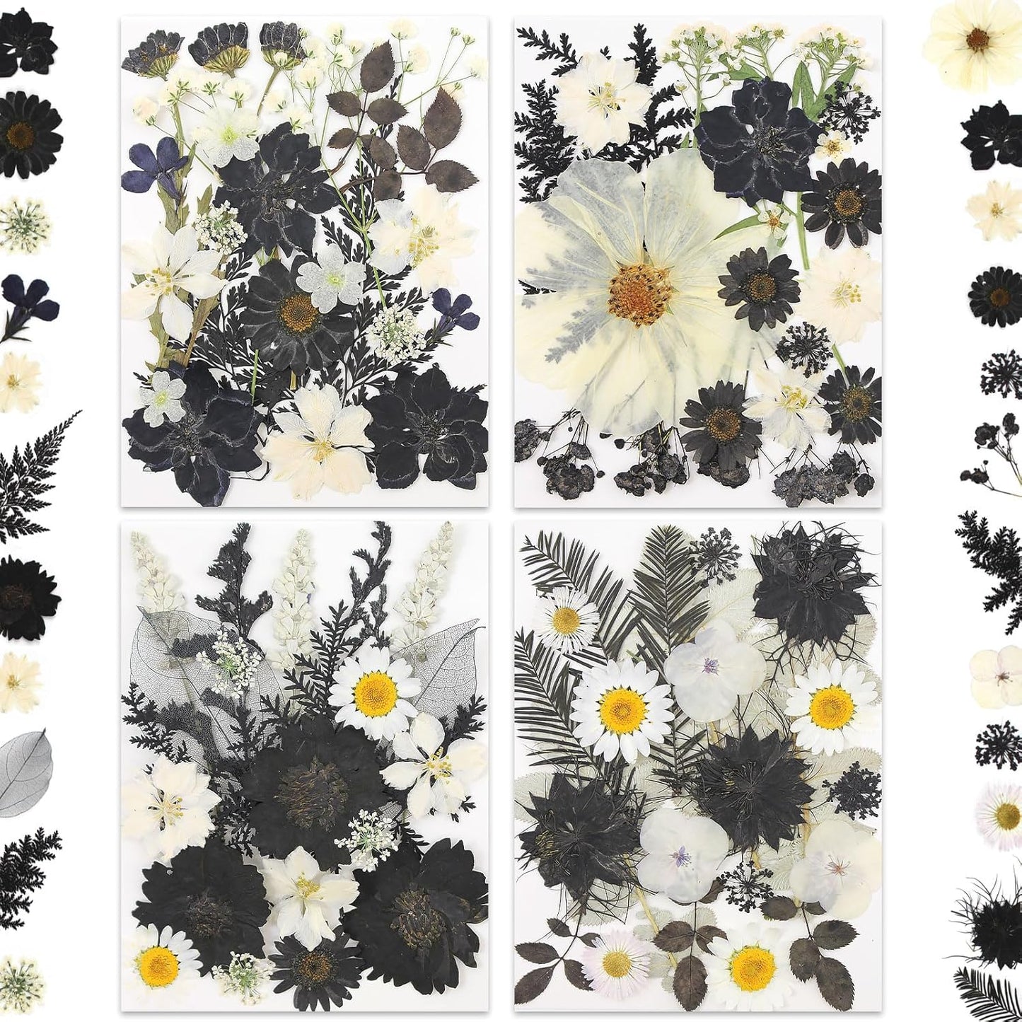 90P Black & White Dried Flowers for Crafts, Real Natural Pressed Flowers in Halloween-Style Tones for Resin Art, DIY Crafts, Jewelry & Candle Decor – Tweezers Included