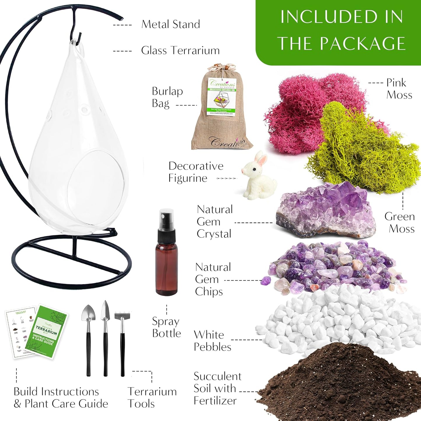 7" DIY Teardrop Terrarium Kit with Live Plants - Hanging Glass Planter with Stand for Adults & Kids - Build a Mini Ecosystem with Moss, Crystals, Tools - Made in The USA